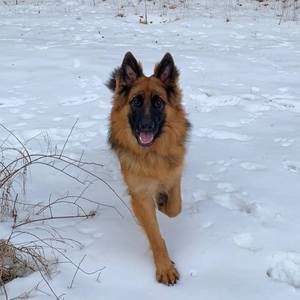 Meet your Posher, Todd